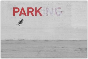 Poszterek 120x80 Banksy Parkoló