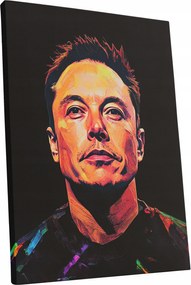 Vászonkép Portré Elon Musk nappali Elon Musk ajándék 45x60