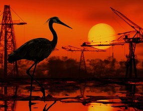 Poszter 65x50cm Alkonyat Ipari Daru