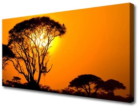 Vászonkép Nature fa nap 100x50 cm