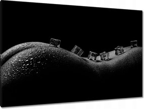 Festmények 120x80 Akt és jégkockák