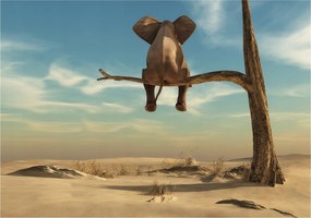 Fotótapéta Elefánt a sivatagban színharmónia és nyugalom 208x146 +ragasztó