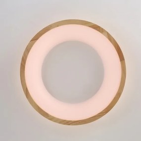 Brilagi-LED FALCON WOOD mennyezeti lámpa LED/30W/230V 3000/4000/6000K 45 cm, fa kivitel