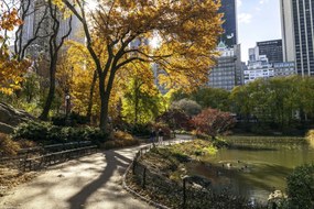 Poszter 30x20cm Ösvény a központi parkon át 5, Assaf Frank