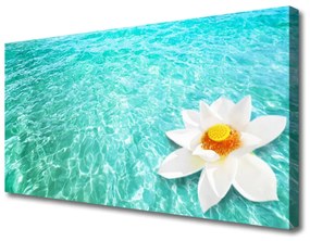 Vászonkép Víz Virág Art 100x50 cm