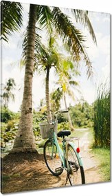 Vászonkép 80x120 Kerékpárok Két kerék