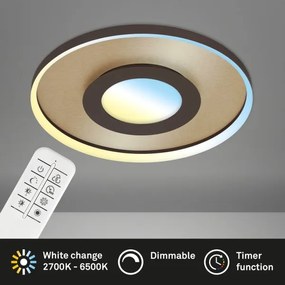 Briloner 3640017 - LED állítható mennyezeti lámpa LED/25W/230V 2700-6500K + DO
