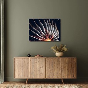 Kép - Világító kisülés (üvegen) (70x50 cm)