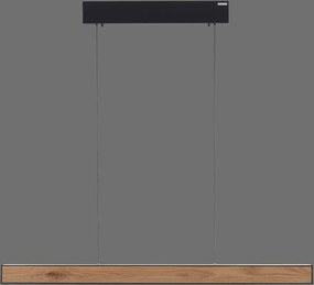 Paul Neuhaus modern skandináv függeszték pure e-motion fekete fa pln2570-79