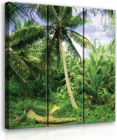 Vászonkép 90x100 Trópusok dzsungel pálmafák zöld természet egzotikus nyugalom