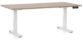 OfficeTech D állítható magasságú asztal, 160 x 80 cm, fehér alap, tölgy