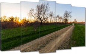 FestmĂ©nyek 100x60 Mezei Ășt FĂĄk MezĆk