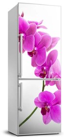 Hűtőre ragasztható matrica Rózsaszín orchidea FridgeStick-70x190-f-67691978