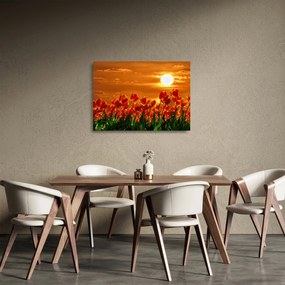 Kép egy virágzó mező tulipánokkal (üvegen) (70x50 cm)
