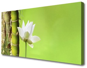 Canvas kép Bamboo Stem növény természet 100x50 cm