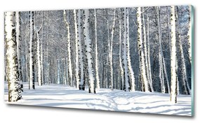 Egyedi üvegkép Erdőben télen osh-61171749