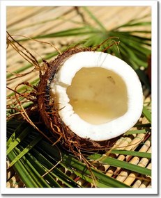 Poszterek keretben 40x50 Kókusz variációk Konyha