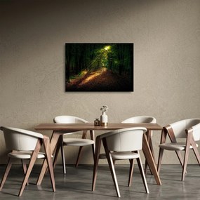 Erdei út képe (üvegen) (70x50 cm)
