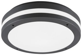 Kültéri lámpa ø 3 cm Kendal – Trio