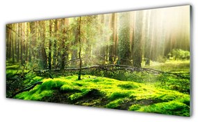 Fali üvegkép Forest Moss Természet 125x50 cm