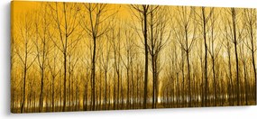 Egy erdő naplementekor képe (120x50 cm)
