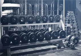 Fotótapéta Edzőterem Súlyzó 312x219