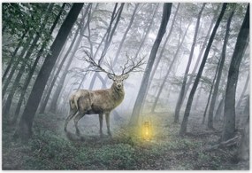Poszterek 185x125 Szarvas az erdőben
