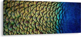 Kép - Pávatollak (120x50 cm)
