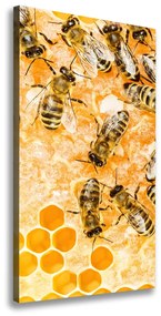 Vászonkép Dolgozó méhek ocv-74378590
