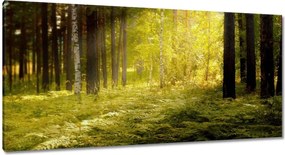 Képek 115x55 Napfelkelte az erdőben