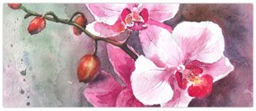 Kép - Orchideák, akvarell (120x50 cm)