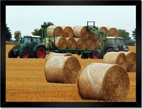 Poszterek keretben 40x30 Aratás Szalma Bálna Traktorok