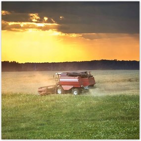 Poszterek 140x140 Kombájn kaszálja az arany gabonát