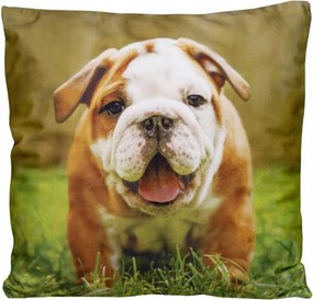 Dekoratív párnahuzat 40x40 Kutya párna 5388