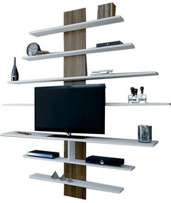 TV szekrény Zebra - White, Walnut