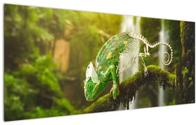 Kaméleon képe (120x50 cm)