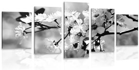 5 részes kép cesrezsnye virág fekete fehérben