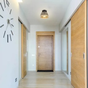 Globo 15767D1 - Mennyezeti lámpa COLLY 1xE27/15W/230V