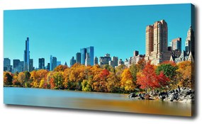 Vászonfotó New york ősszel oc-70676089