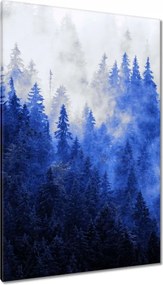 Vászonkép 80x120 Kék táj Hegyek