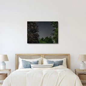 Éjszakai égbolt képe (70x50 cm)