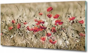 Fotó üveg kép Pitypangok fa 100x70