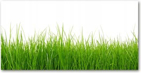 Üvegpanel a konyhába Fű 120x60 cm Ragasztó
