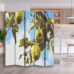 Gario Paraván Alma ágon, alma ágon Méret: 180 x 170 cm, Kivitelezés: Klasszikus paraván