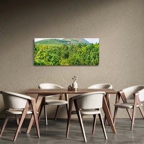 Kép - Babi Hora, Lengyelország (120x50 cm)
