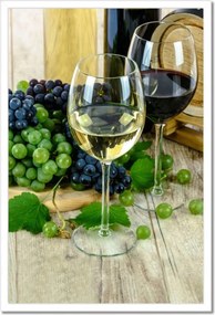 Poszterek keretben 40x60 Fehér szőlőbor