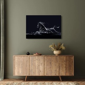 Kép - Ló és a víz (90x60 cm)