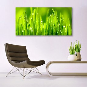 Akrilüveg fotó Green Grass Dew Drops 125x50 cm