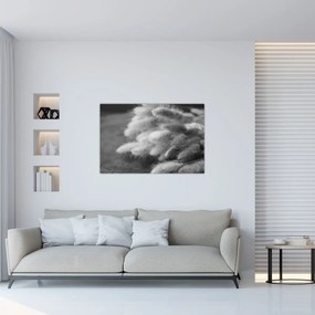 Kép - nyúlfarknyi fű az asztalon (90x60 cm)