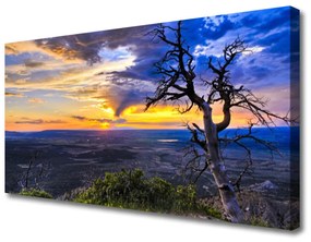 Vászonkép nyomtatás fa Sunset 125x50 cm